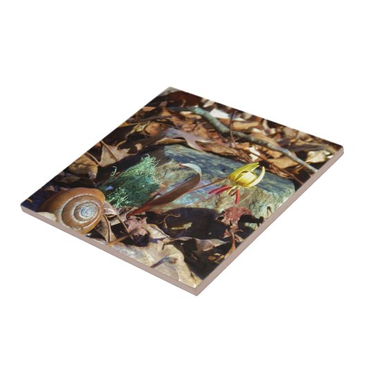 Yellow and Plum Trout Lily en Snagel Shell Tegeltje (Zijkant)