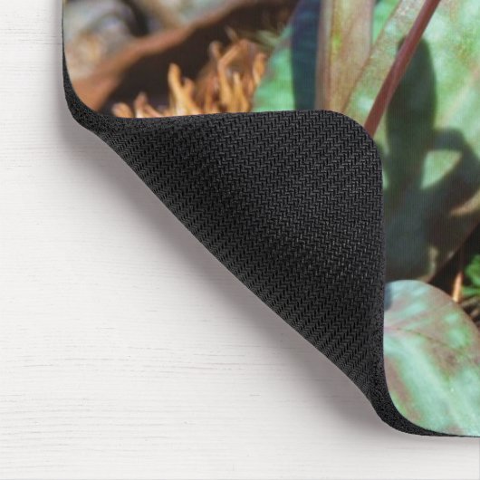 Yellow and Plum Trout Lily Muismat (Hoek)