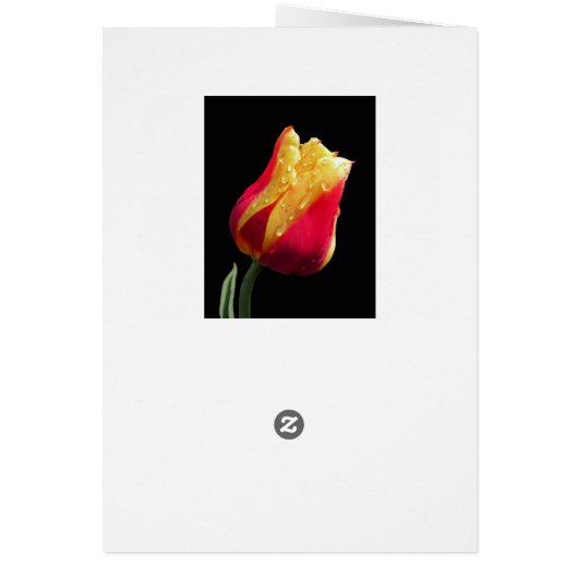 Yellow And Red Tulip (Achterkant)