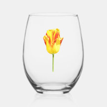 Yellow and red tulip
