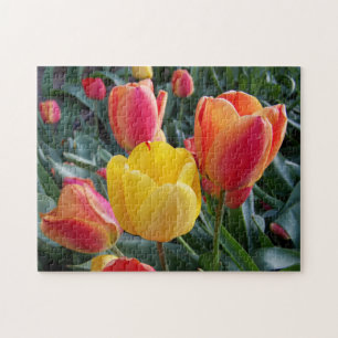 Yellow and Red Tulips Rock Garden Photo Legpuzzel