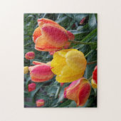 Yellow and Red Tulips Rock Garden Photo Legpuzzel (Verticaal)