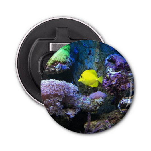 Yellow Angelfish Button Flesopener (Voorkant)