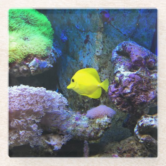 Yellow Angelfish  Glazen Onderzetter (Voorkant)