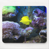 Yellow Angelfish Muismat (Voorkant)
