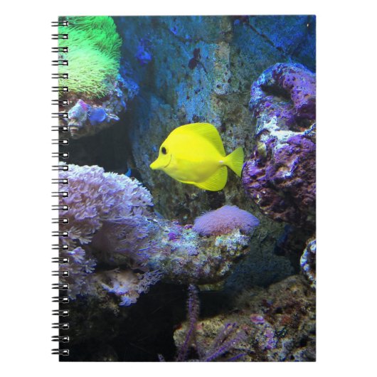 Yellow Angelfish Notitieboek (Voorkant)