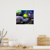 Yellow Angelfish Poster (Keuken)