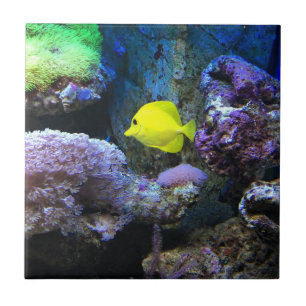 Yellow Angelfish Tegeltje