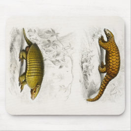 Yellow armadillo Indian Pangolin afbeelding Muismat