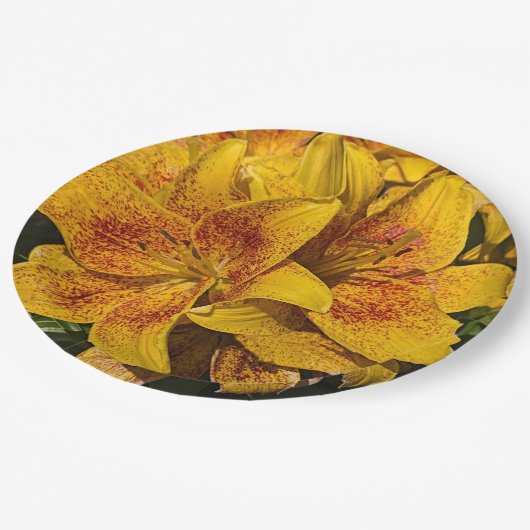 Yellow Asiatic Lily Blooms Floral Papieren Bordje (Gekanteld)
