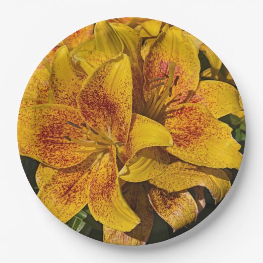 Yellow Asiatic Lily Blooms Floral Papieren Bordje (Voorkant)