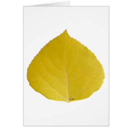 Yellow Aspen Leaf #5