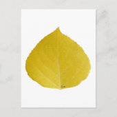 Yellow Aspen Leaf #5 Briefkaart (Voorkant)
