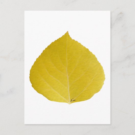 Yellow Aspen Leaf #5 Briefkaart (Voorkant)