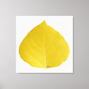 Yellow Aspen Leaf #5 Canvas Afdruk