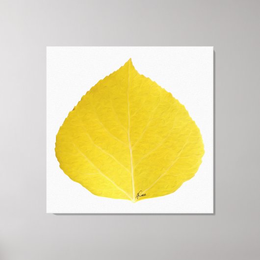 Yellow Aspen Leaf #5 Canvas Afdruk (Voorkant)