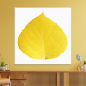 Yellow Aspen Leaf #5 Canvas Afdruk (Insitu (Woonkamer))