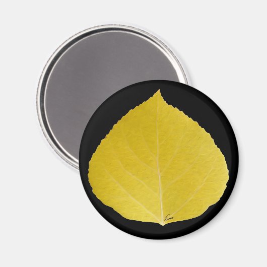 Yellow Aspen Leaf #5 Magneet (Voorkant / Achterkant)