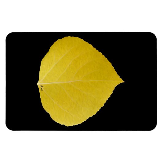 Yellow Aspen Leaf #5 Magneet (Horizontaal)