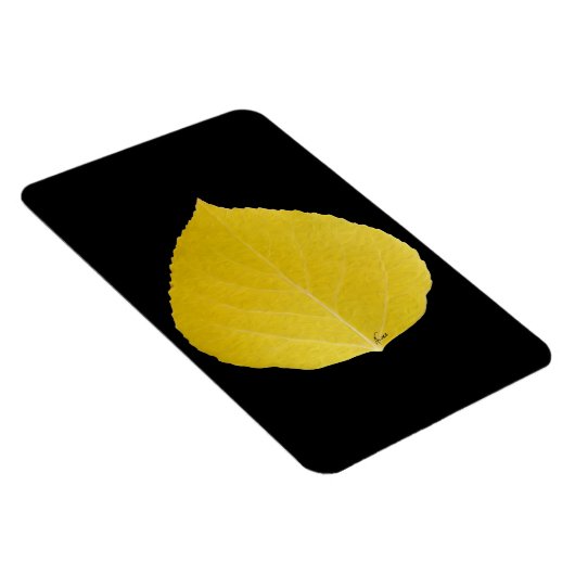 Yellow Aspen Leaf #5 Magneet (Rechterzijde)