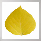 Yellow Aspen Leaf #5 Poster (Voorkant)