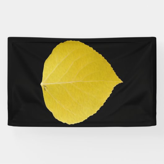Yellow Aspen Leaf #5 Spandoek (Horizontaal)