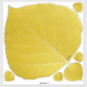 Yellow Aspen Leaf #5 Sticker