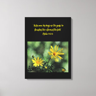 Yellow Aster Wildflowers Canvas Print