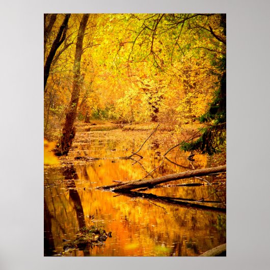 Yellow Autumn Forest Print Poster Art Wall (Voorkant)