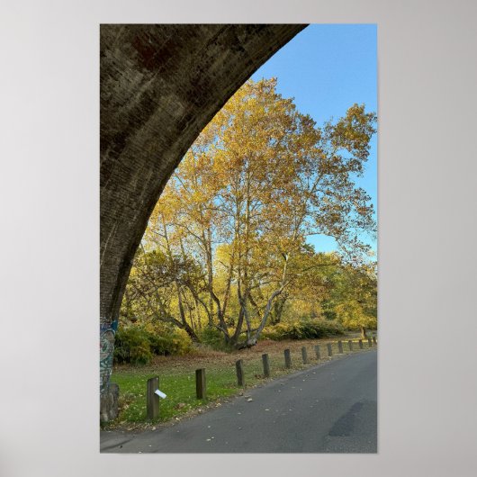 Yellow Autumn Trees Poster (Voorkant)