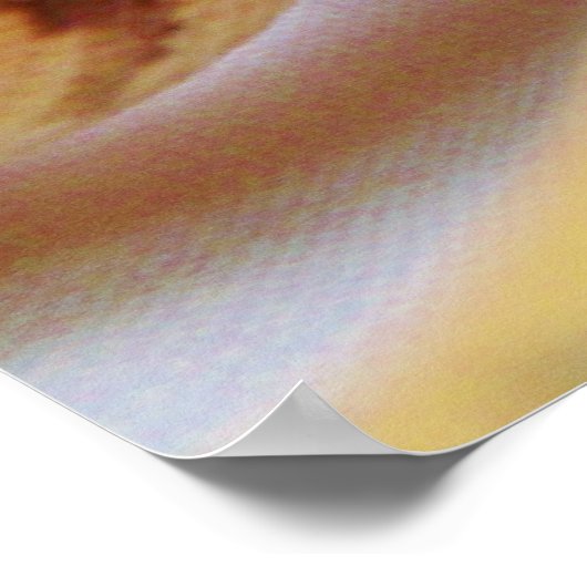 Yellow Ball Python dicht Poster (Hoek)