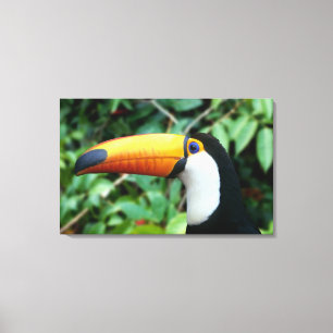 Yellow Beaked Toucan Canvas Afdruk