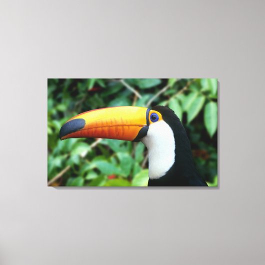 Yellow Beaked Toucan Canvas Afdruk (Voorkant)