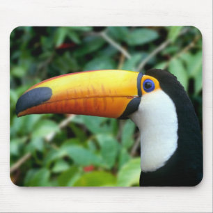 Yellow Beaked Toucan Muismat