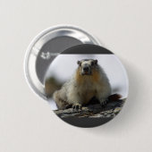 Yellow Bellied Marmot Ronde Button 5,7 Cm (Voorkant /achterkant)