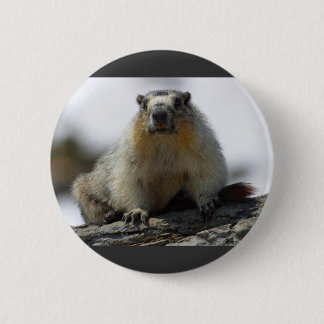 Yellow Bellied Marmot Ronde Button 5,7 Cm