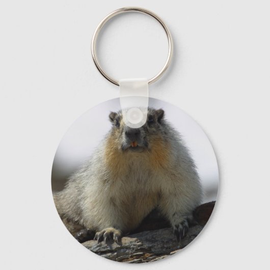Yellow Bellied Marmot Sleutelhanger (Voorkant)