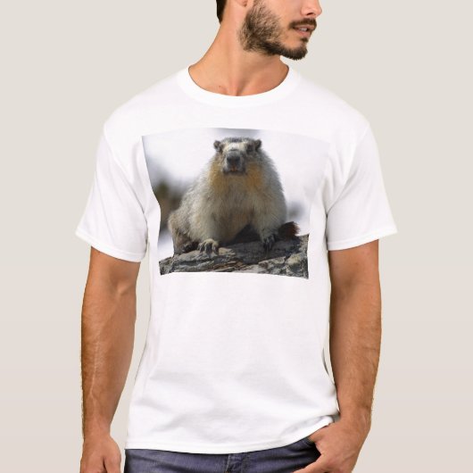 Yellow Bellied Marmot T-shirt (Voorkant)