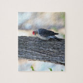Yellow Bellied Woodpecker Puzzle Legpuzzel (Verticaal)