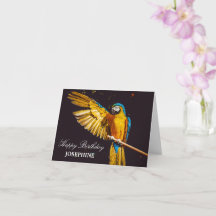 Yellow Bird Wildlife  ara