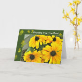 Yellow Black Eyed Susan Blooms Kaart (Gele Bloem)