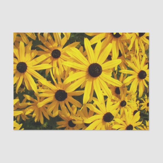 Yellow Black Eyed Susans Floral Tissuepapier (Voorkant)