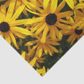 Yellow Black Eyed Susans Floral Tissuepapier (Detail)