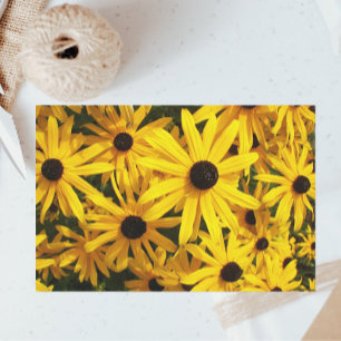 Yellow Black Eyed Susans Floral Tissuepapier