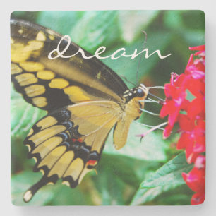 Yellow Black Swallowtail Butterfly Dream Script Stenen Onderzetter