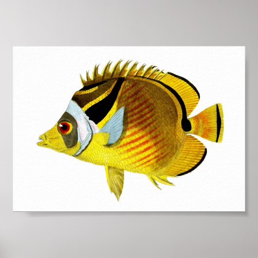 Yellow Black Tropical Fish Art print nr. 4 (Voorkant)