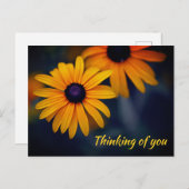 Yellow Blackeyed Susan Garden Flower die je mist Briefkaart (Voorkant / Achterkant)