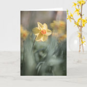 Yellow Blossom Daffodil Natuur Foto Kaart (Gele Bloem)