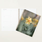 Yellow Blossom Daffodil Natuur Foto Planner (Display)