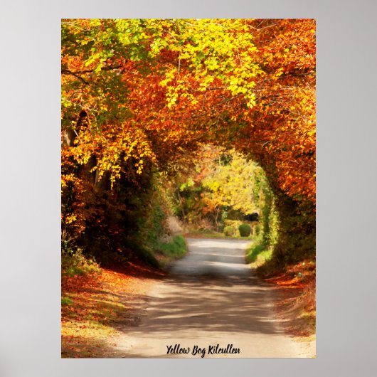 Yellow Bog Kilcullen Poster (Voorkant)